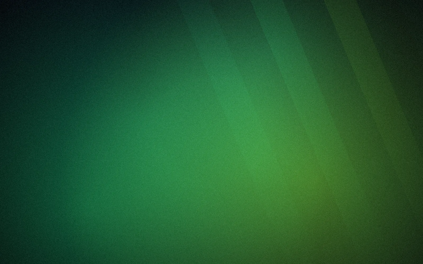 Forest background